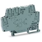 WAGO - Optokopplermodul, Eingangsnennspannung DC24V, Ausgang DC 4-6 V, grau