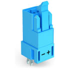 WAGO - Stecker für Leiterplatten, gerade, 2-polig, blau