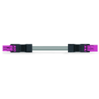 WAGO - konfektionierte Verbindungsleitung, Eca, Buchse Stecker, pink