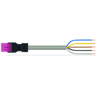WAGO - konfektionierte Anschlussleitung, Eca, Stecker/offenes Ende, pink