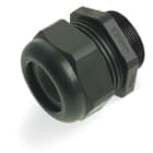WAGO - Leitungsverschraubung, M40x1, 5 mit O-Ring, Kunststoff, schwarz