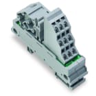 WAGO - Potentialverteilermodul, 1 Potential, mit 1 Einspeiseklemmstelle