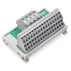 WAGO - Potentialverteilermodul, 2 Potentiale, mit je 2 Einspeiseklemmstellen