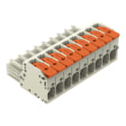 WAGO - 1-Leiter-Federleiste, Hebel, Push-in CAGE CLAMP®, lichtgrau