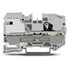 WAGO - 1-Leiter-Potentialausgleichsklemme, 10mm², Push-in CAGE CLAMP®, grau