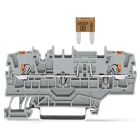 WAGO - 2-Leiter-Sicherungsklemme, f.Kfz-Mini-Flachsicher., gemäß DIN 7258-3f, ISO 8820-3, grau