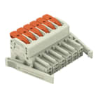 WAGO - 1-Leiter-Federleiste, Hebel, Push-in CAGE CLAMP®, lichtgrau