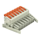 WAGO - 1-Leiter-Federleiste, Hebel, Push-in CAGE CLAMP®, lichtgrau