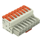 WAGO - 1-Leiter-Federleiste, Hebel, Push-in CAGE CLAMP®, lichtgrau