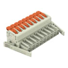 WAGO - 1-Leiter-Federleiste, Hebel, Push-in CAGE CLAMP®, lichtgrau