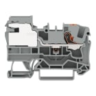 WAGO - 1-Leiter-Potentialausgleichsklemme,6 mm²,Push-in CAGE CLAMP®,grau