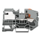 WAGO - 1-Leiter-Potentialausgleichsklemme,16 mm²,Push-in CAGE CLAMP®,grau
