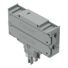 WAGO - Doppelsicherungsstecker,für G-Sicherungseinsatz ¼'' x 1¼'',mit Leuchtanzeige,gr