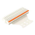 WAGO - 1-Leiter-Federleiste,Hebel,Push-in CAGE CLAMP®,lichtgrau