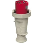 WALTHER - CEE-Stecker 4P 125A 7h gerade 500V IP67