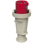 WALTHER - CEE-Stecker 4P 63A 6h gerade 400V IP67