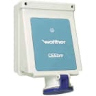 WALTHER - Wandsteckdose 63A 3P 400V 9H I