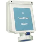 WALTHER - Wandsteckdose 63A 3P 110V 4H I