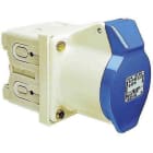 WALTHER - Anbaudose gerade 32A 3P 230V 6