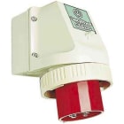 WALTHER - Wandgeraetestecker 32A 4P >50-5