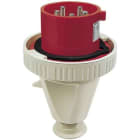 WALTHER - CEE-Stecker 5P 32A 6h gerade 400V IP67