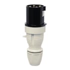 WALTHER - CEE-Stecker 4P 63A 7h gerade 500V IP44