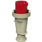 WALTHER - CEE-Stecker 5P 125A 9h gerade 230V IP67