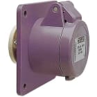 WALTHER - Norvo Anbaudose 16A 2P 42V 12H