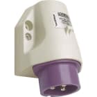 WALTHER - Norvo Geraetestecker 16A 2P 24V