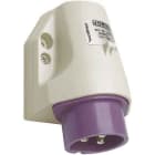 WALTHER - Norvo Geraetestecker 16A 2P 42V