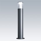 THORN - LED-Poller