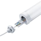 THORNECO - LED-Anbauleuchte (IP66)