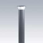 THORN - LED-Poller