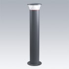 THORN - LED-Poller