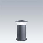 THORN - LED-Poller