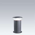 THORN - LED-Poller