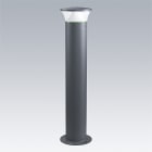THORN - LED-Poller