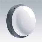 THORN - Wandleuchte LED