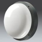 THORN - Wandleuchte LED