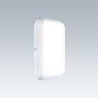 THORN - Wandleuchte LED