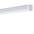 THORNECO - LED-Anbauleuchte