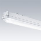 THORN - Feuchtraumleuchte LED