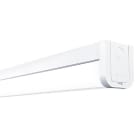 THORNECO - LED-Anbauleuchte