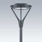 THORN - LED Amenity Straßenleuchte AV 36L60-730 WSC GL CL1 WS0.3 T60 ANT