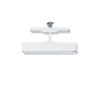 ZUMTOBEL - Sicherheitsleuchte CSP ANT TEC2 ECDP WH