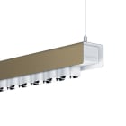 ZUMTOBEL - Pendelleuchte IZU D/I 12k5-935 L15 LDE WH GWHD E-BZ