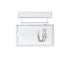 ZUMTOBEL - Sicherheitszeichenleuchte SMARTSIGN 190 MSC-CORD SD1 WH