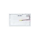 ZUMTOBEL - Sicherheitszeichenleuchte SMARTSIGN 190 MSW SD1 WH