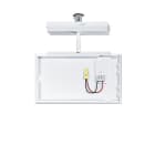 ZUMTOBEL - Sicherheitszeichenleuchte SMARTSIGN 190 TEC2 SD1 WH