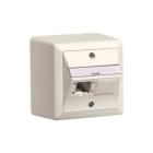 R&M - AP Global-Anschlussdose 80x80mm 2x1 Port RAL9010 rws
